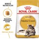 Royal Canin FBN Maine Coon Adult - dry food for adult cats - 4kg