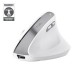Trust Bayo II - Ergonomic Wireless Mouse (white)