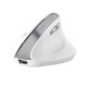 Trust Bayo II - Ergonomic Wireless Mouse (white)
