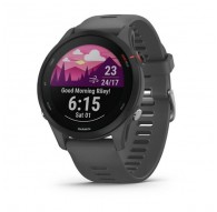 Garmin Forerunner 255 3.3 cm (1.3") MIP 46 mm Digital 260 x 260 pixels Grey Wi-Fi GPS (satellite)