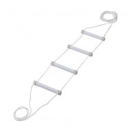 Rehabilitation bed ladder fluorescent