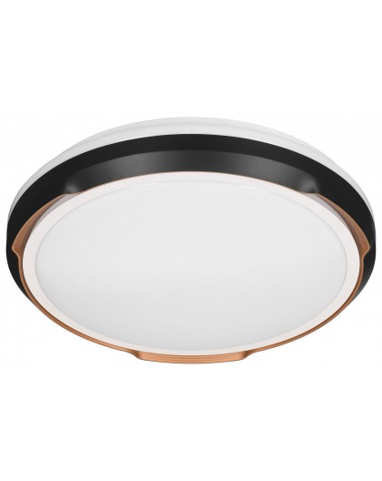 Activejet LED ceiling light AJE-PETRUS 24W