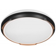 Activejet LED ceiling light AJE-PETRUS 24W