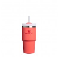 Stanley Quencher H2.O FlowState 0.6L Mug