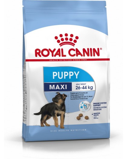 Royal Canin SHN Maxi Puppy - dry puppy food - 4kg