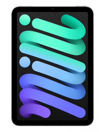 Apple iPad mini 5G TD-LTE & FDD-LTE 128 GB 21.1 cm (8.3") Wi-Fi 6E (802.11ax) iPadOS 18 Grey