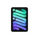 Apple iPad mini 5G TD-LTE & FDD-LTE 128 GB 21.1 cm (8.3") Wi-Fi 6E (802.11ax) iPadOS 18 Grey