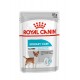 Royal Canin CCN Urinary Care Loaf - wet food for adult dogs - 12x85g