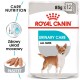Royal Canin CCN Urinary Care Loaf - wet food for adult dogs - 12x85g