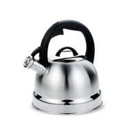 Maestro MR-1329 kettle 2.9 L Stainless steel