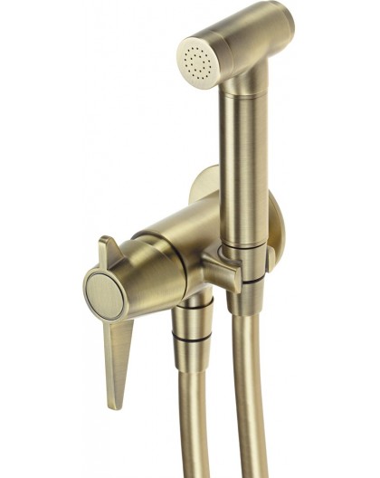 Concealed bidet faucet w/ Bidetta handset