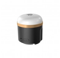 EcoFlow SCLI-B camping lantern Battery powered camping lantern USB port