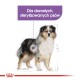 ROYAL CANIN Medium Sterilised dry dog food - 3 kg