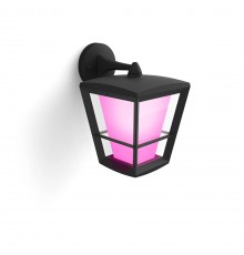 Philips Hue White and colour ambience Econic Outdoor Wall Light