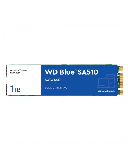 Western Digital Blue SA510 1 TB M.2 Serial ATA III