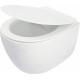 Rimless toilet