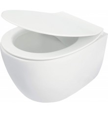Rimless toilet