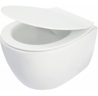 Rimless toilet