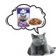 PREVITAL Turkey and rabbit in jelly - wet cat food - 100g