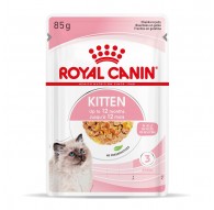 Royal Canin FHN Kitten Instinctive in sauce - wet food for kittens - 12x85g