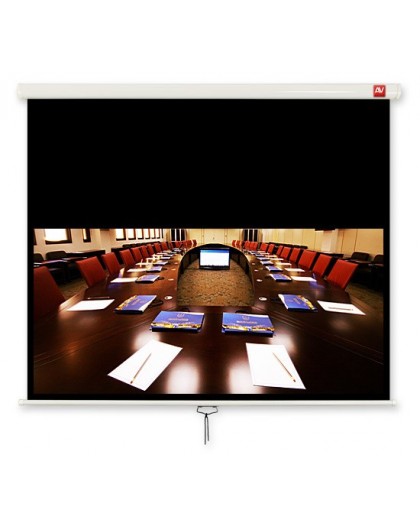 Avtek Business 240 projection screen 16:10