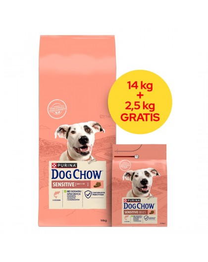 PURINA Dog Chow Sensitive Salmon - dry dog food - 14 + 2,5kg