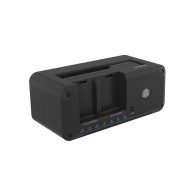 ICY BOX IB-2924MSCL-C31 USB 3.2 Gen 2 (3.1 Gen 1) Type-C Black