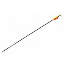 Fibreglass arrow 30’ Poe Lang (VD-065K)