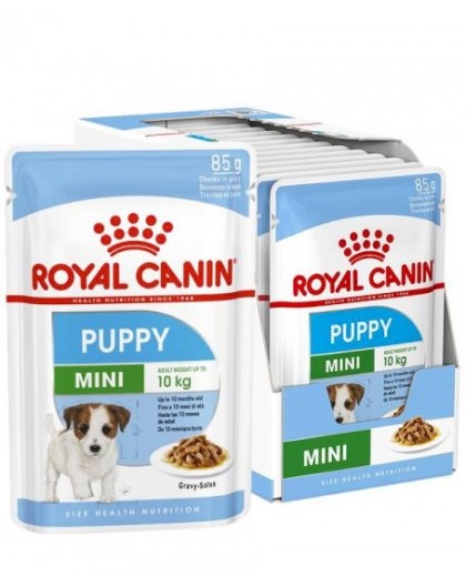 ROYAL CANIN SHN Mini Puppy in sauce - wet puppy food - 12X85g