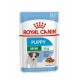 ROYAL CANIN SHN Mini Puppy in sauce - wet puppy food - 12X85g