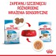 ROYAL CANIN SHN Mini Puppy in sauce - wet puppy food - 12X85g