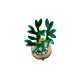 LEGO ICONS 10344 The Botanical Collection - Lucky Bamboo