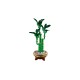 LEGO ICONS 10344 The Botanical Collection - Lucky Bamboo