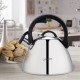 Kettle MAESTRO MR-1314 stainless steel 2.5 l