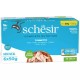 SCHESIR Tuna in jelly - wet cat food - 6x50g