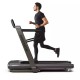 Horizon Fitness Omega Z-02 Folding electric treadmill Graphite