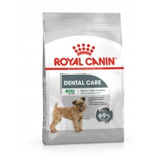 ROYAL CANIN CCN Mini Dental Care - dry food for adult dogs - 3kg