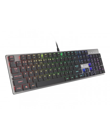 GENESIS Thor 420 RGB keyboard Gaming USB QWERTY US International Silver