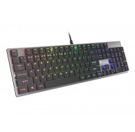 GENESIS Thor 420 RGB keyboard Gaming USB QWERTY US International Silver