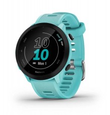 Garmin Forerunner 55 2.64 cm (1.04") MIP 42 mm Digital 208 x 208 pixels GPS (satellite)