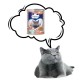 PREVITAL Cat Food with ASC salmon in jelly - wet food for cats - 415g