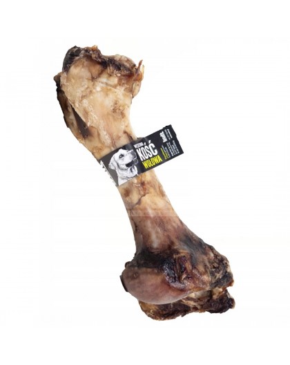 BULT Front beef bone - dog treat - 1pcs