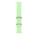 Apple Natural Titanium Finish Band Green Fluoroelastomer, Titanium