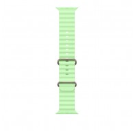Apple Natural Titanium Finish Band Green Fluoroelastomer, Titanium