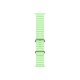 Apple Natural Titanium Finish Band Green Fluoroelastomer, Titanium