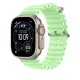 Apple Natural Titanium Finish Band Green Fluoroelastomer, Titanium