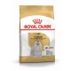 ROYAL CANIN Maltese Adult - dry dog food - 1,5 kg