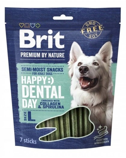 BRIT Premium Dog Snack Dental L - dog treat - 250g