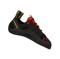 Tarantulace-black poppy-39,5