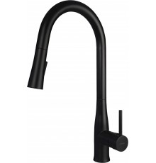 Kitchen faucet with pull-out spout